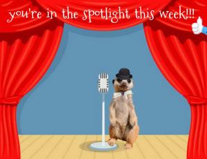 an in the spotlight gift